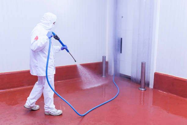 Best Building Exterior Washing  in Colfax, WA